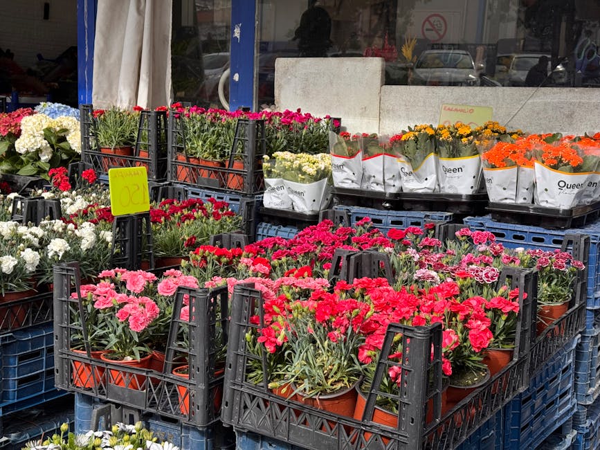 Outdoor display of various potted flowers arranged in black plastic crates outside a flower shop. The collection includes pink, red, white, yellow, and orange flowers, each in small terracotta pots wr
